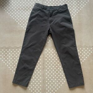 Uniqlo Smart Ankle Pants